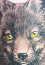 001a   Tiere   Tattoo Hamburg Skinworxx